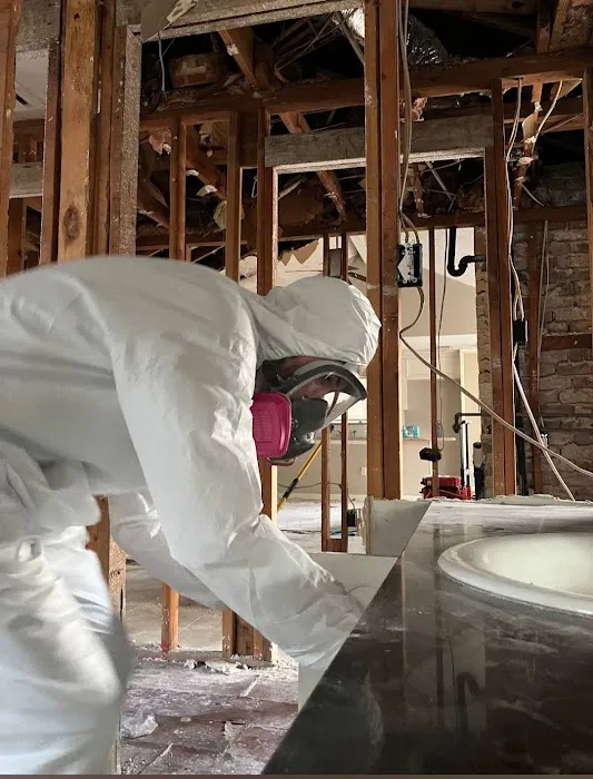 Florida Mold Control Picture 9