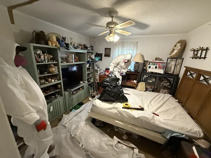 Florida Mold Control Picture 4