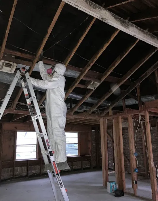 Florida Mold Control Picture 2