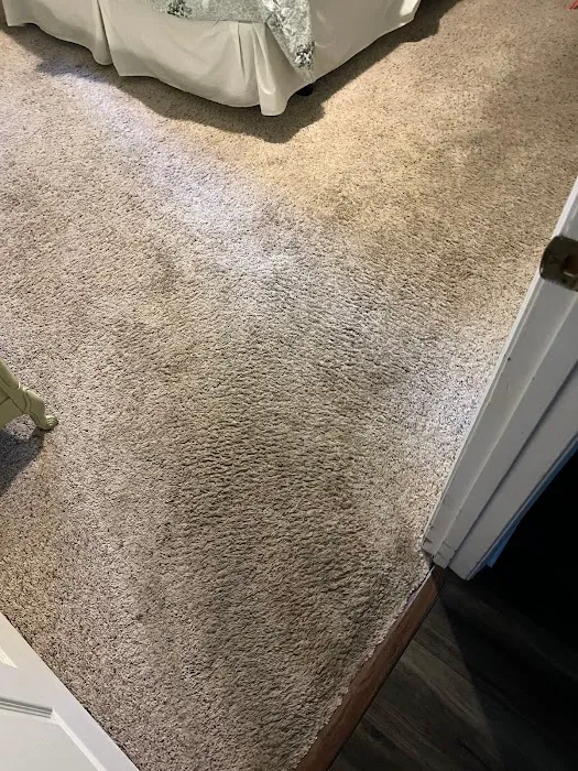 Dreyer's Carpet Care Picture 8