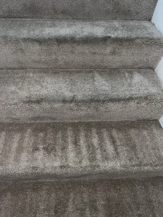 Stanley Steemer Picture 8