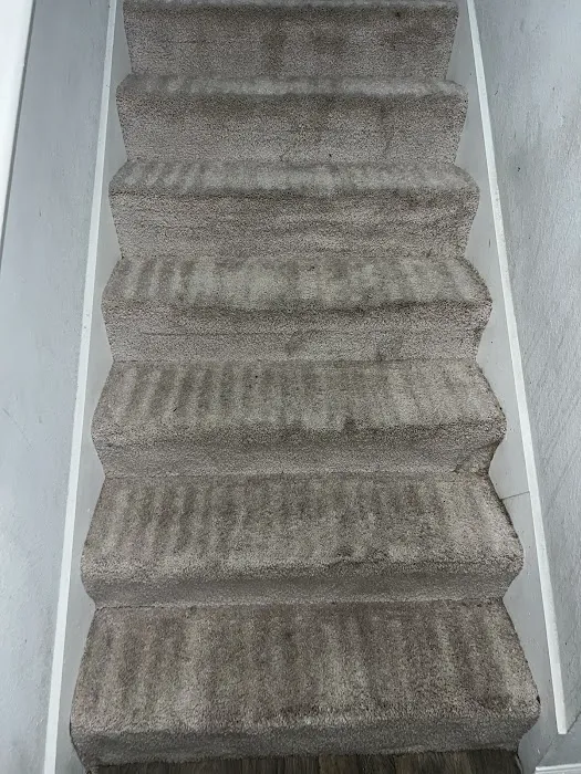 Stanley Steemer Picture 7