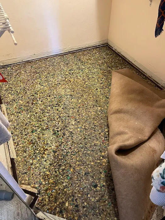 Pinnacle Carpet Cleaning & Restoration Solutions Picture 10