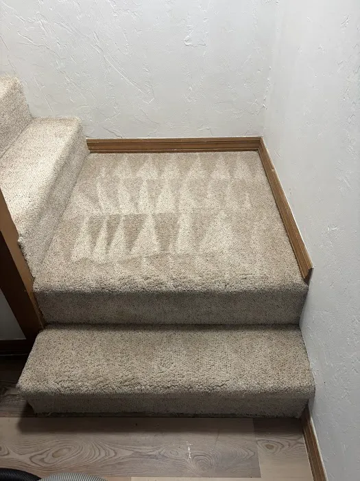 Gator Carpet Cleaning and Water Restoration Picture 9