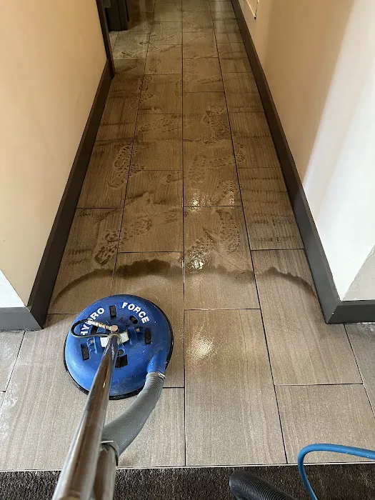 Gator Carpet Cleaning and Water Restoration Picture 1