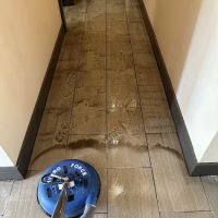 Gator Carpet Cleaning and Water Restoration ico