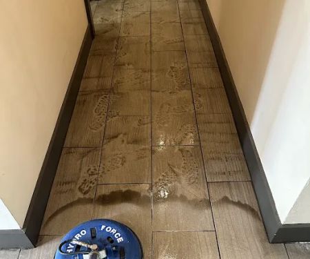 Gator Carpet Cleaning and Water Restoration
