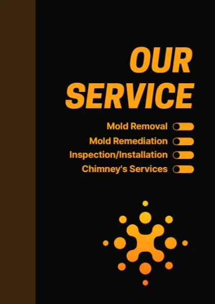ZND-SEN Mold Removal & Mold Remediation Service Gainesville, FL Picture 5