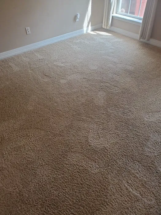 STEAMPRO CARPET AND TILE CLEANING Picture 3
