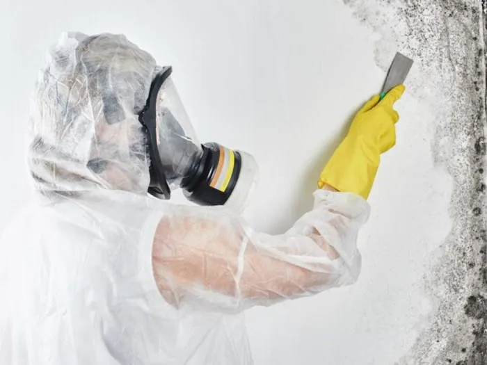 PuroClean Emergency Services Picture 10