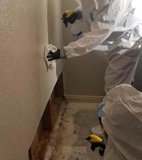 PuroClean of Jacksonville Southbank Picture 3