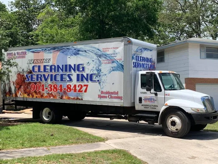 Herring Cleaning & Restoration Picture 5