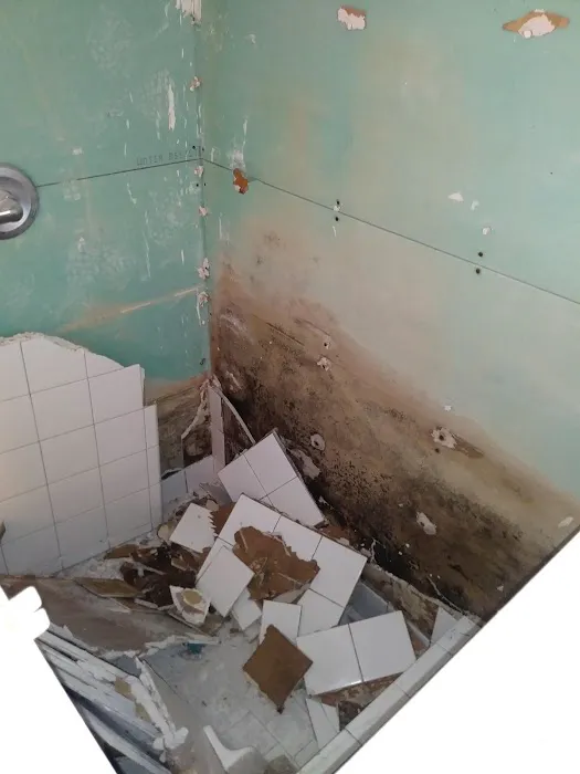 Bold City Indoor Air Quality and Emergency Services Jacksonville Picture 5