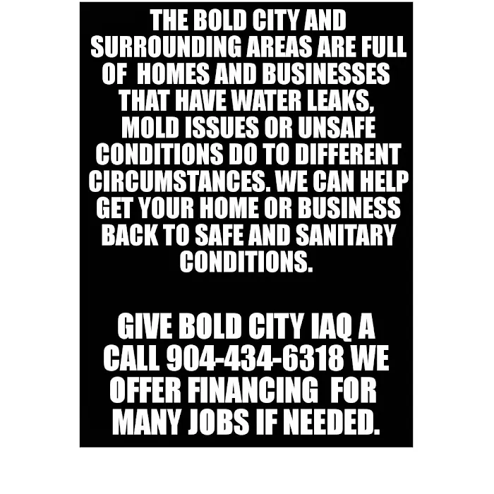 Bold City Indoor Air Quality and Emergency Services Jacksonville Picture 1