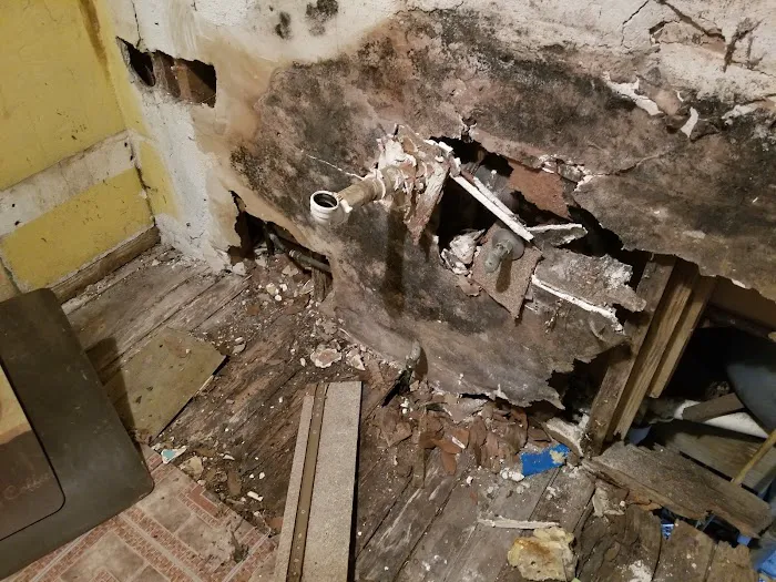 Bold City Indoor Air Quality and Emergency Services Jacksonville Picture 2