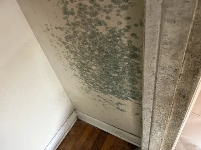 Rainbow Restoration of Deerwood, FL Picture 3