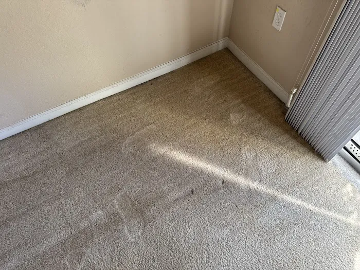 Stanley Steemer Picture 4