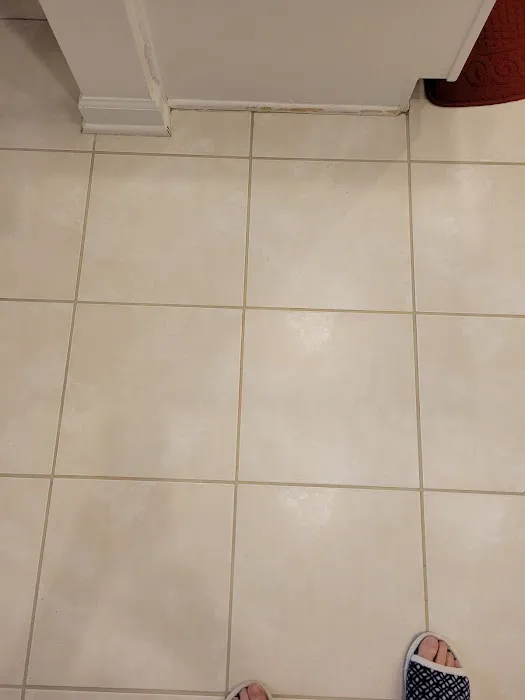 Stanley Steemer Picture 1