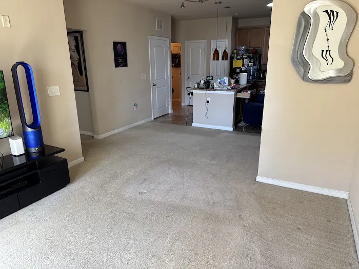 Stanley Steemer Picture 8