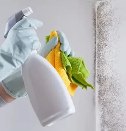 Water Experts Picture 4