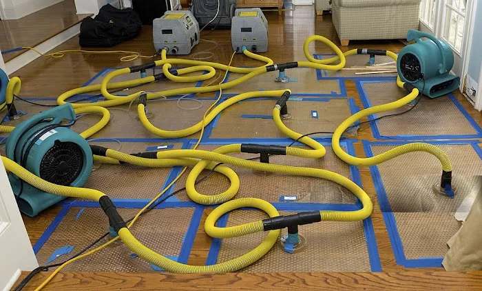 Water Experts Picture 5