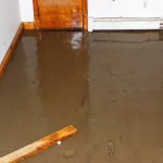 Certified Water Damage Restoration Jacksonville
