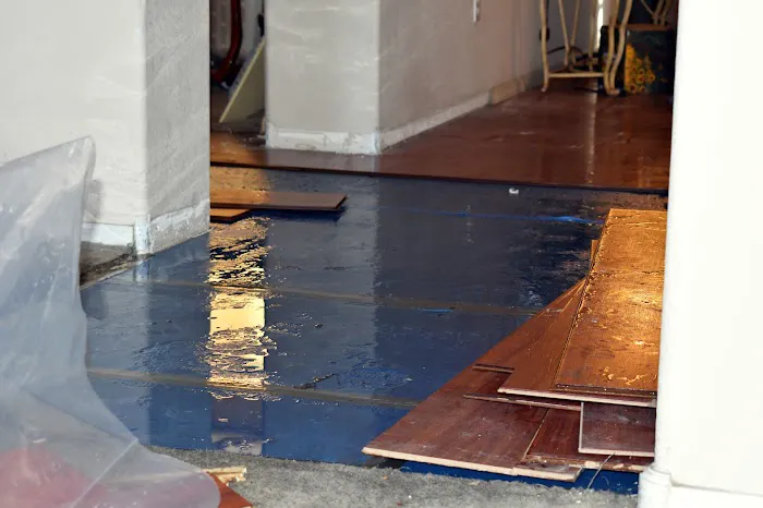 Certified Water Damage Restoration Jacksonville Picture 4