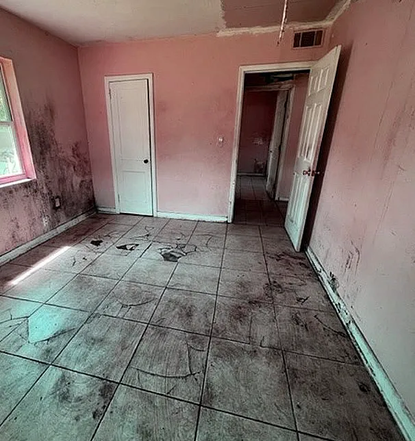 Florida Mold Masters of Southeast Jacksonville Picture 9