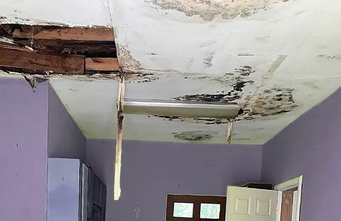 Florida Mold Masters of Southeast Jacksonville Picture 3