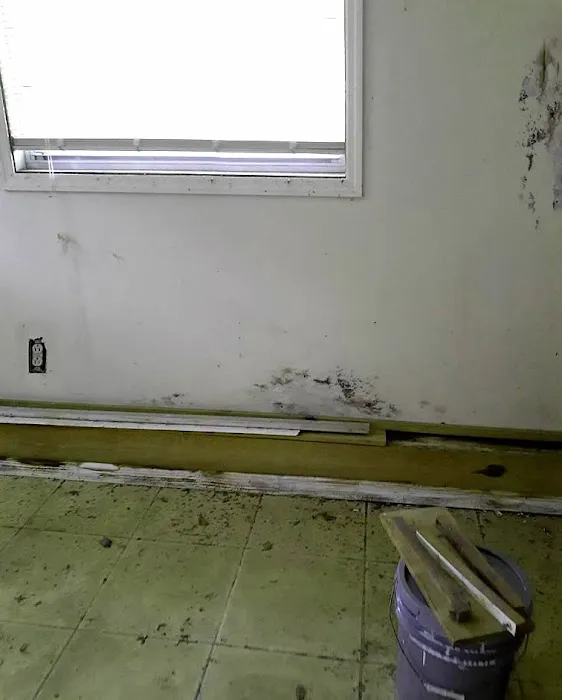 Florida Mold Masters of Southeast Jacksonville Picture 6