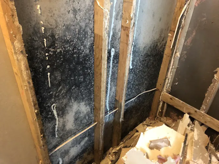 Tod Booth Water Damage Restoration Picture 2