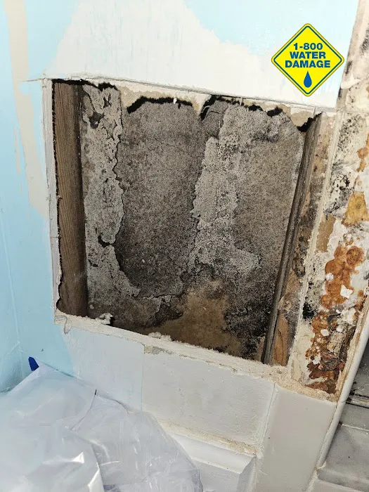 1-800 Water Damage of Jacksonville East and St. Augustine Picture 2