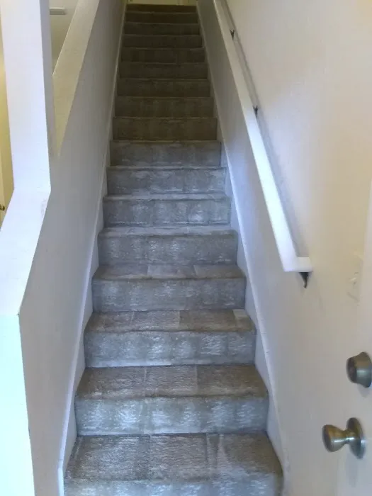 Carpet Sparkle Carpet Cleaning Picture 8