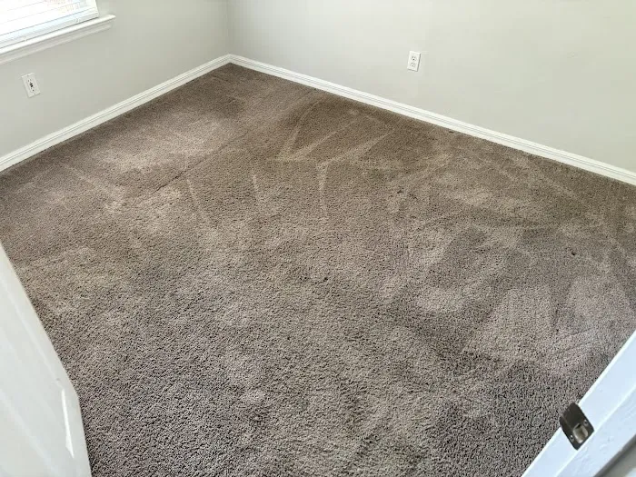 Carpet Sparkle Carpet Cleaning Picture 6
