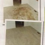Carpet Sparkle Carpet Cleaning