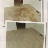 Carpet Sparkle Carpet Cleaning ico