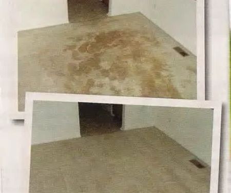 Carpet Sparkle Carpet Cleaning