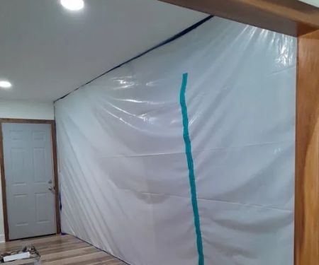 Pure Maintenance Mold Remediation - Orange Park
