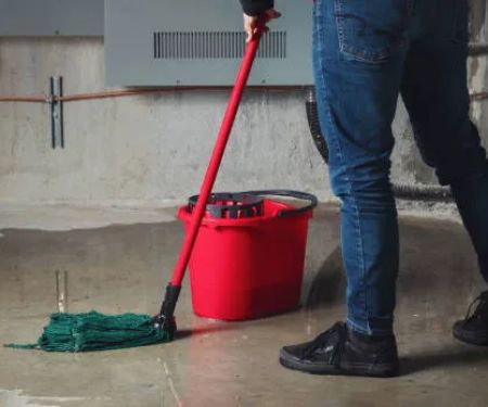 Fleming Island Mold Solutions