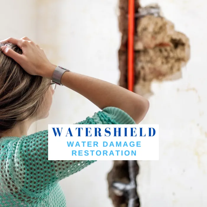 WaterShield Picture 7