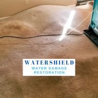 WaterShield ico
