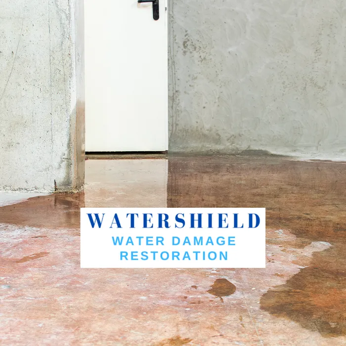 WaterShield Picture 2