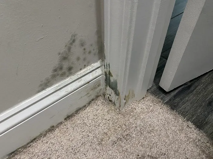 Voda Cleaning & Restoration of Jacksonville St. Augustine Picture 9