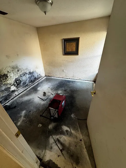 Pure Maintenance Mold Remediation - Jacksonville Picture 8