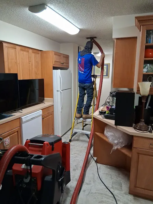 Pure Maintenance Mold Remediation - Jacksonville Picture 10