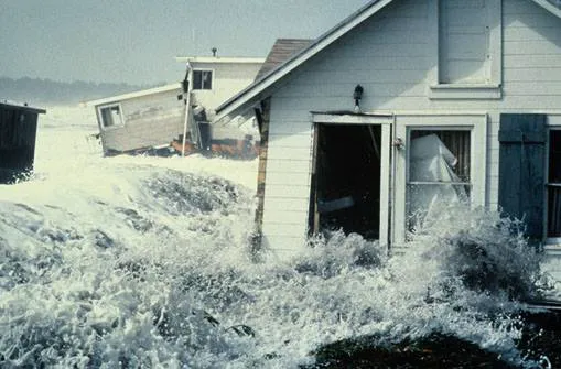 FloodPro 24 Inc Picture 1