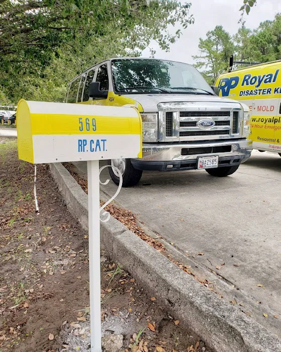 Royal Plus Disaster Cleanup Picture 1