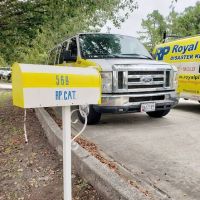 Royal Plus Disaster Cleanup ico