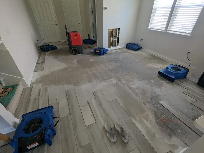 Restoration Rangers Picture 5