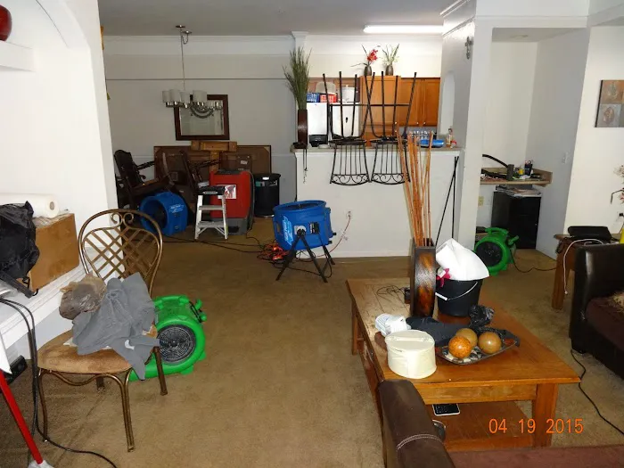 Elements Disaster Recovery Picture 1